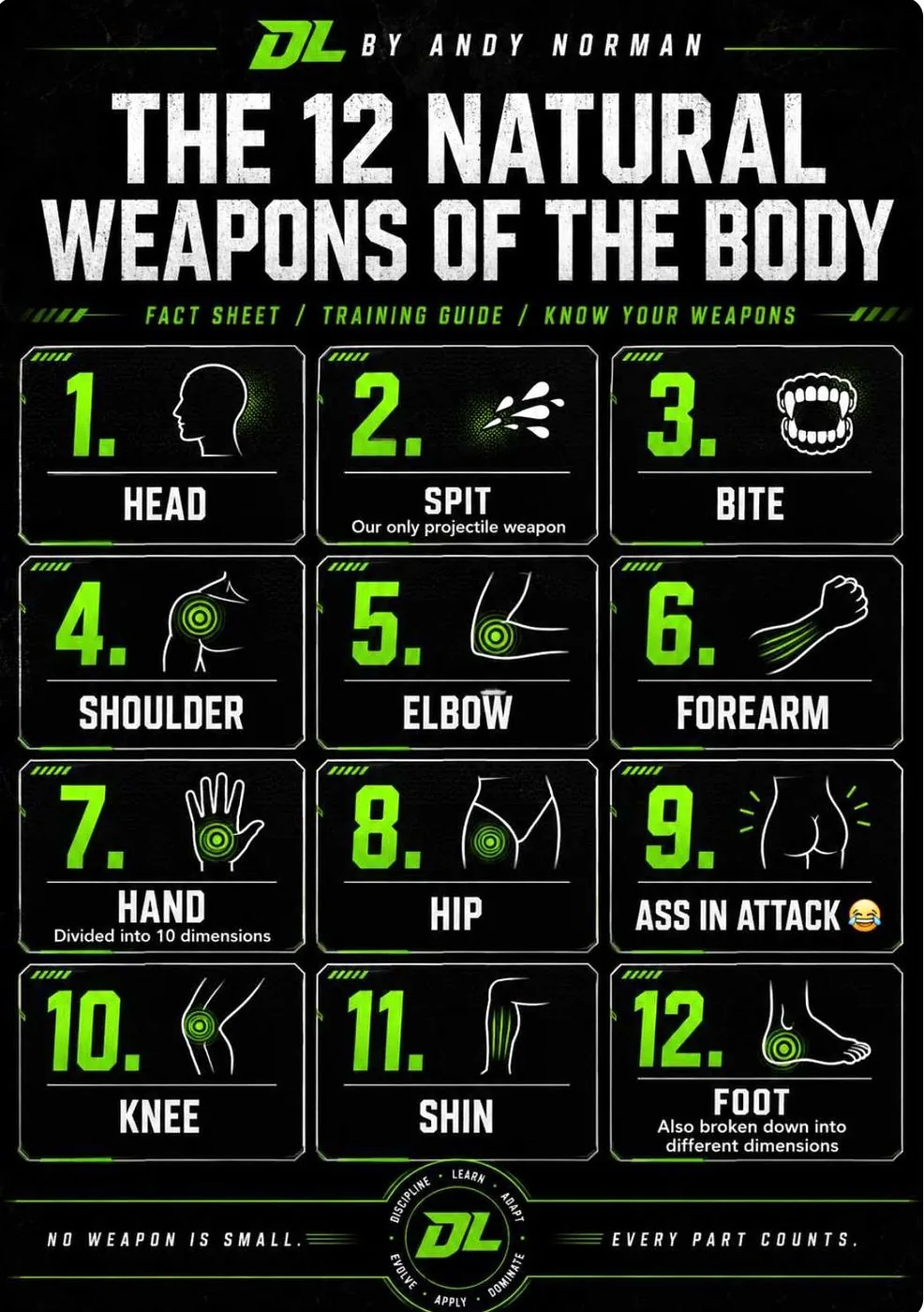 Infografik „Die 12 natürlichen Waffen des Körpers“ von Defence Lab: Kopf, Ellbogen, Knie, Schienbein und weitere Körperzonen